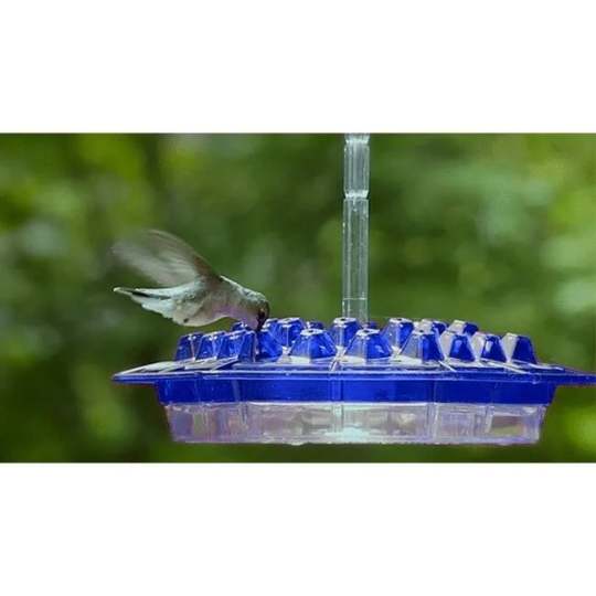 Essenley - Hummingbird Feeder