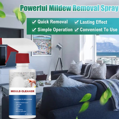 Essenley - Mould & Mildew Removing Foam Spray