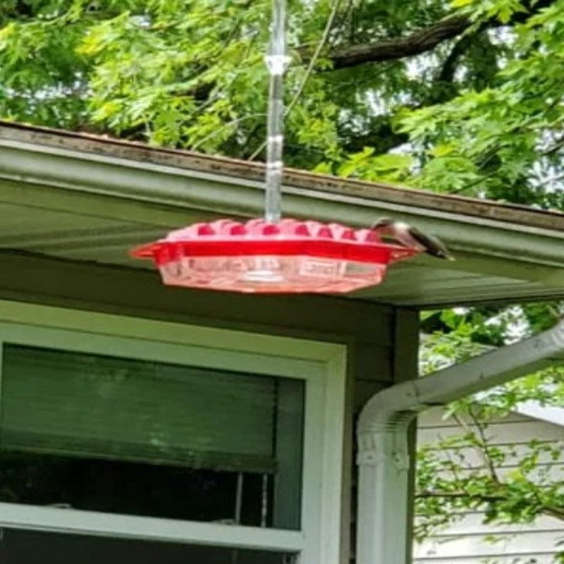 Essenley - Hummingbird Feeder