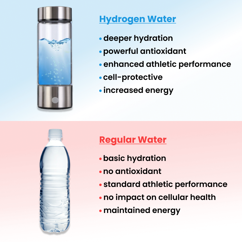 Essenley - Hydrogen Water Bottle