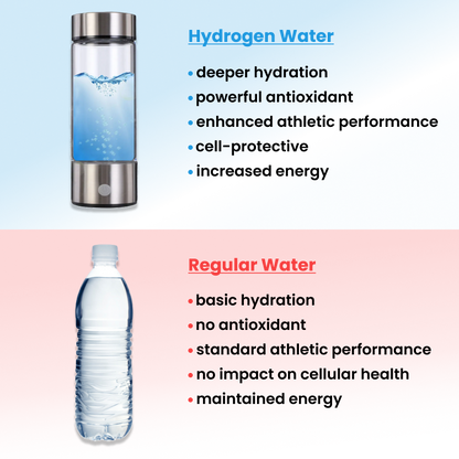 Essenley - Hydrogen Water Bottle