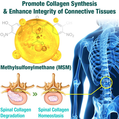 Lumbar Pain Relief Patch