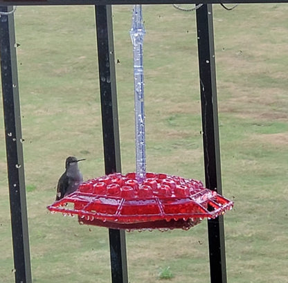 Essenley - Hummingbird Feeder