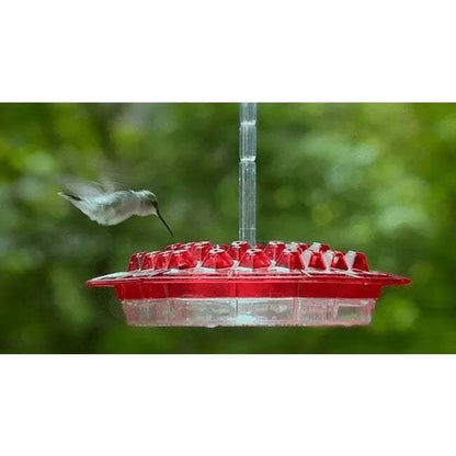 Essenley - Hummingbird Feeder